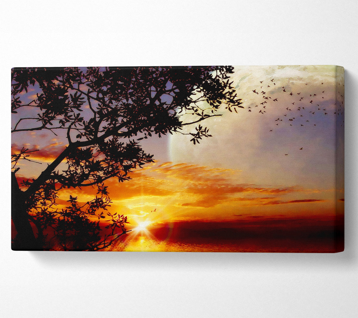 Suns First Light Canvas Wall Art