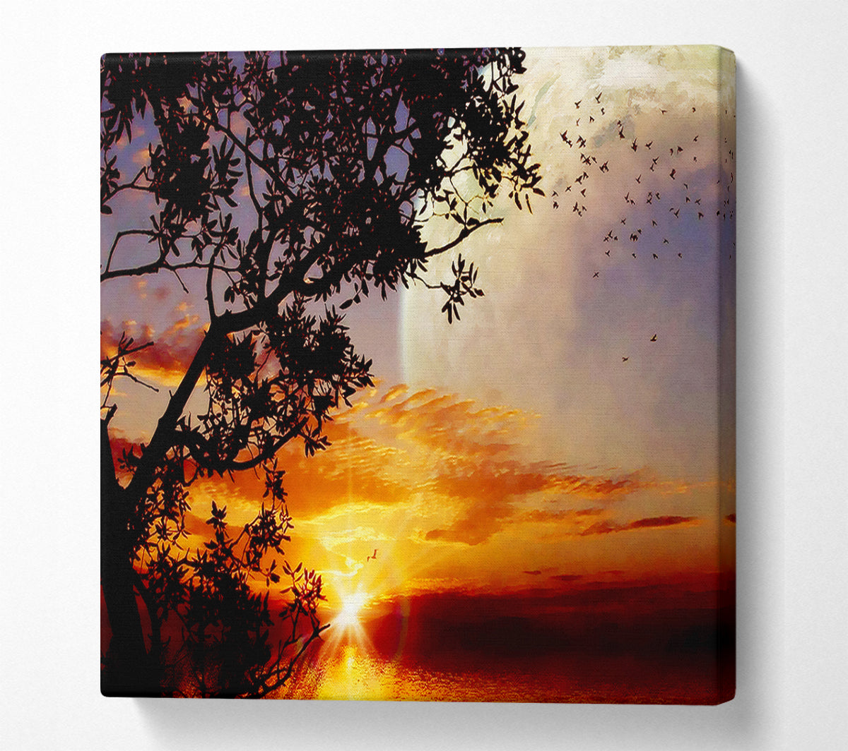 Suns First Light Canvas Wall Art