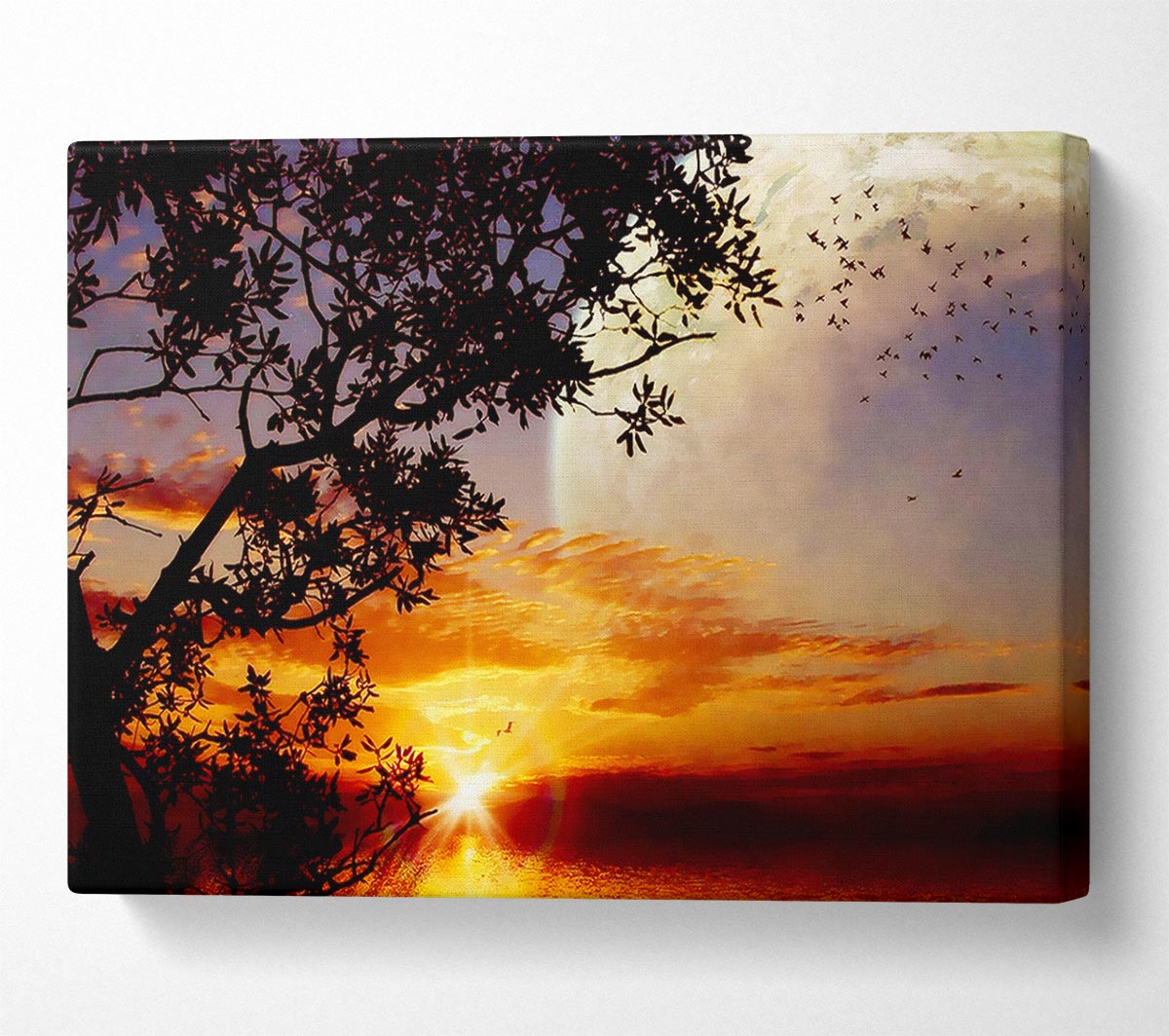 Suns First Light Canvas Wall Art