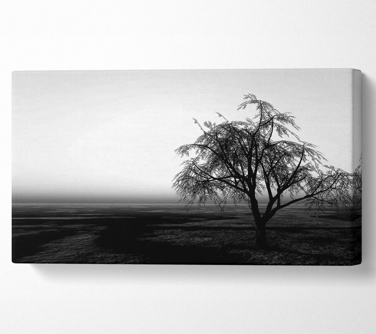 The Way The Wind Blows B n W Canvas Wall Art