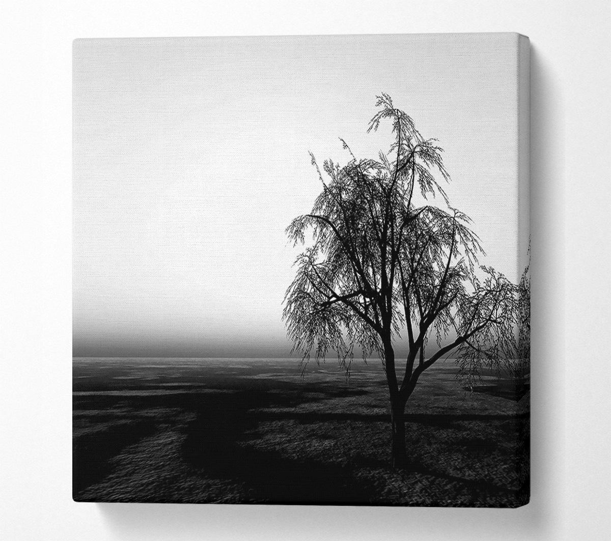 The Way The Wind Blows B n W Canvas Wall Art