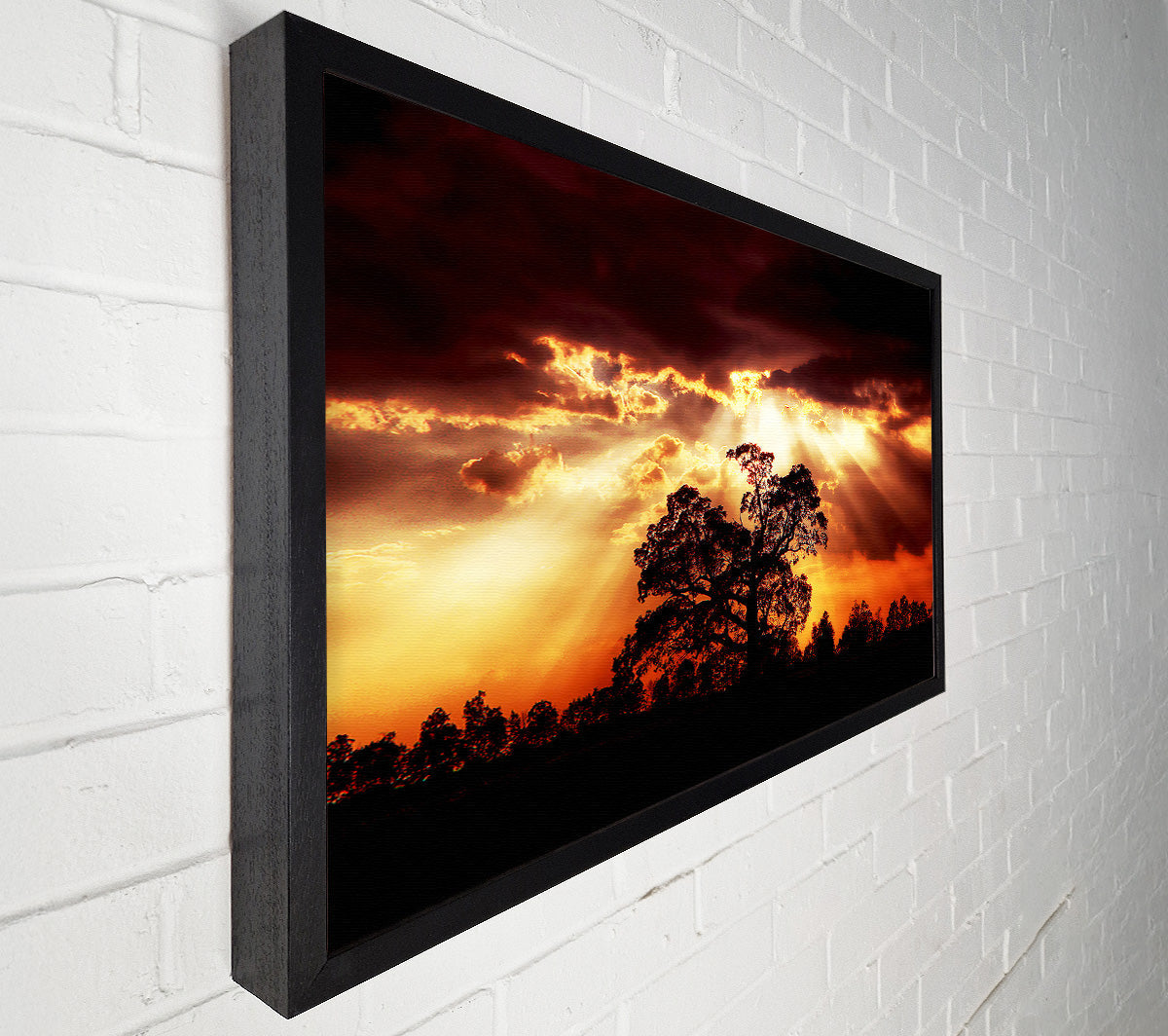 Stunning Cloud Sunrays Over The Morning Tree Canvas Wall Art