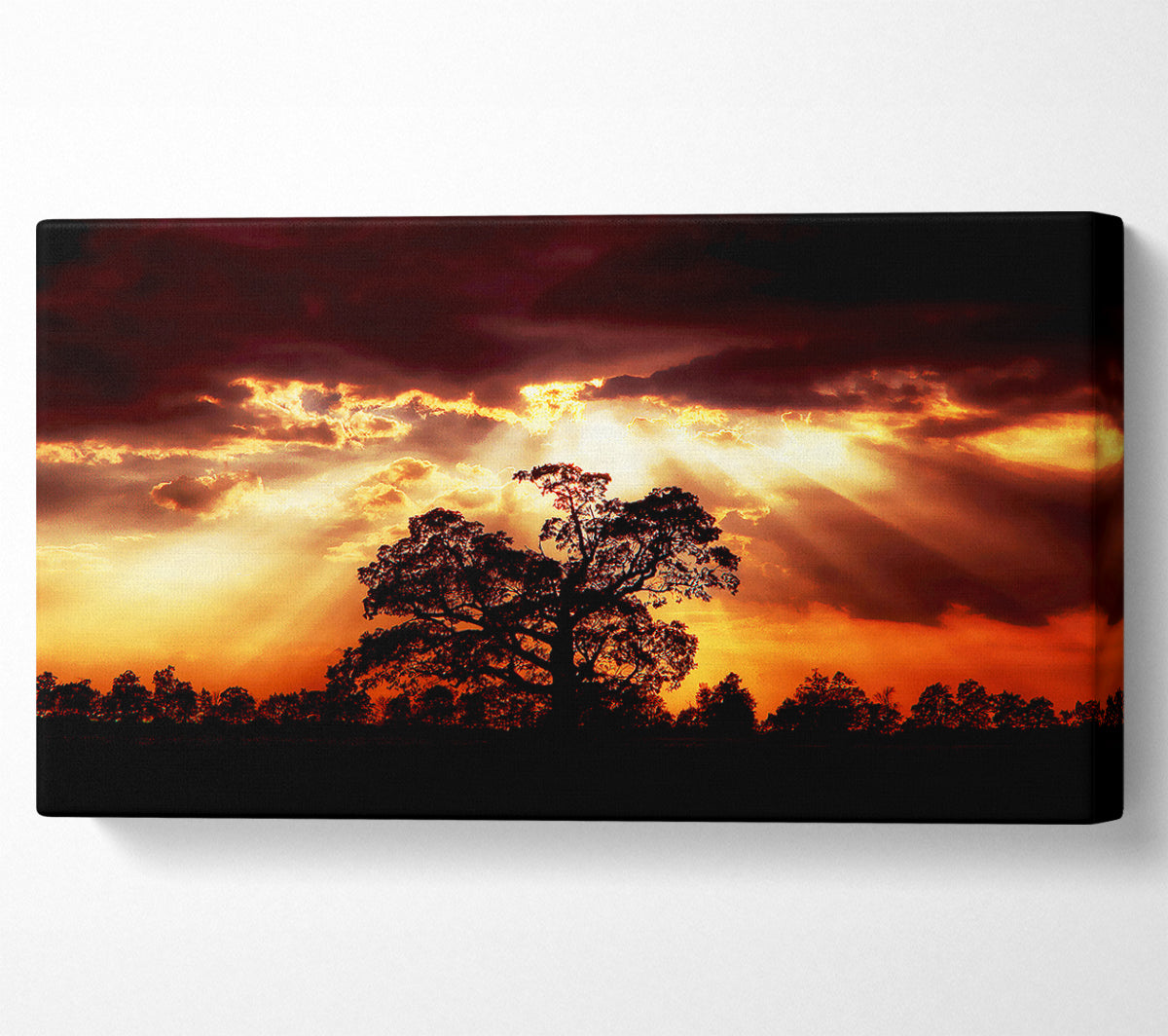 Stunning Cloud Sunrays Over The Morning Tree Canvas Wall Art