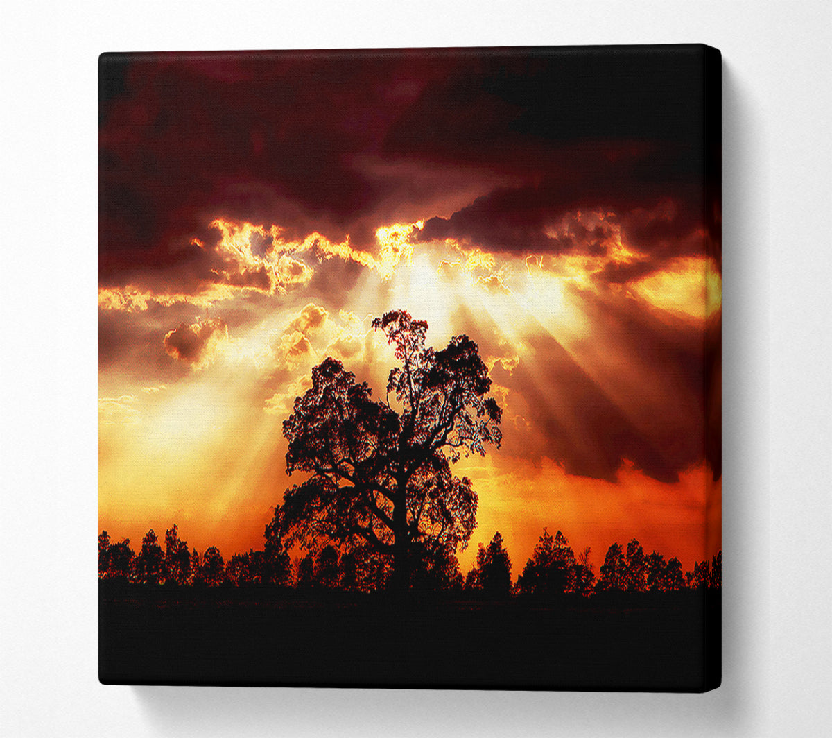 Stunning Cloud Sunrays Over The Morning Tree Canvas Wall Art