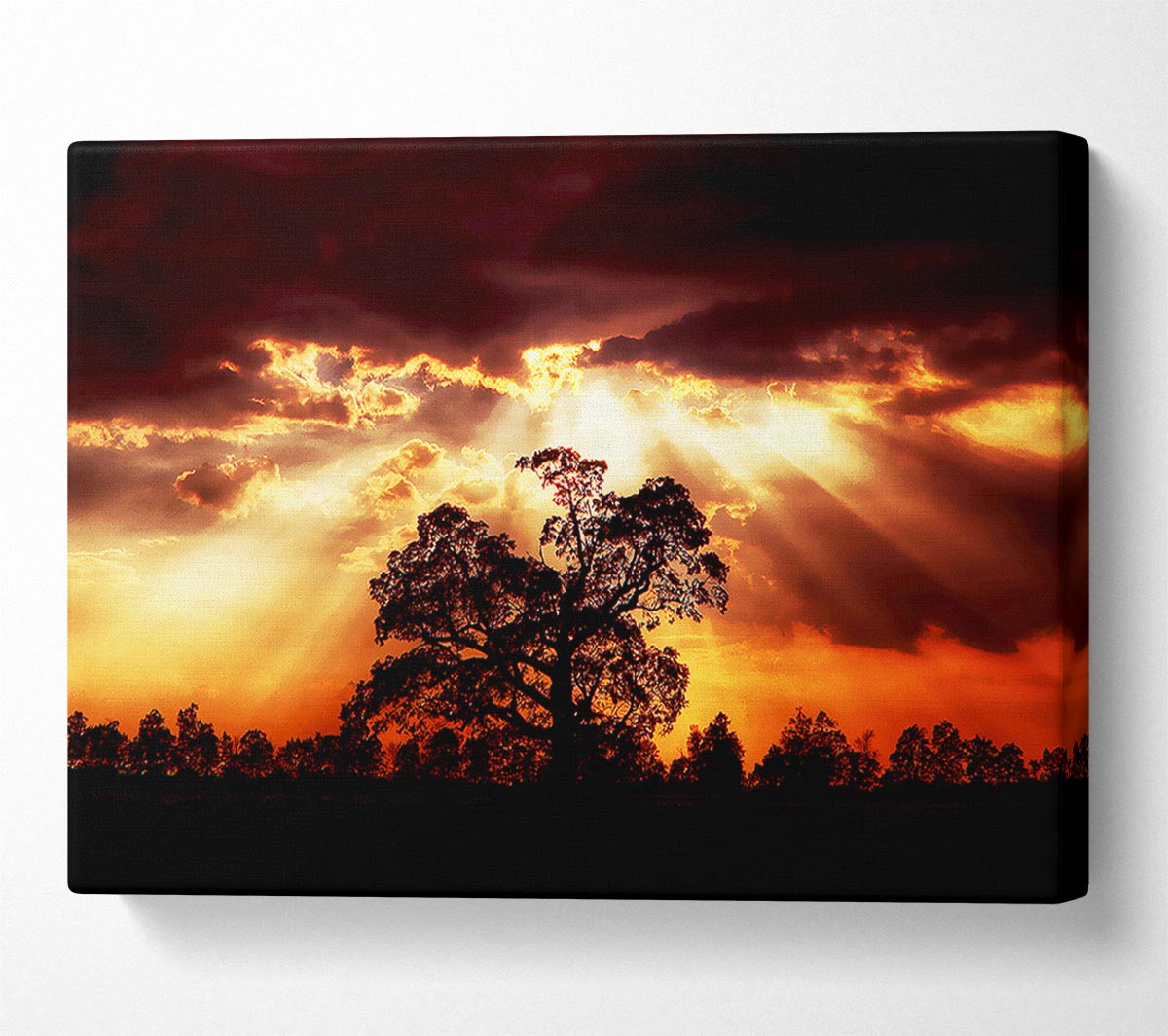 Stunning Cloud Sunrays Over The Morning Tree Canvas Wall Art