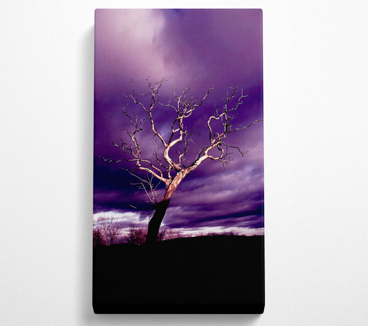 Stunning Purple Night Tree Canvas Wall Art