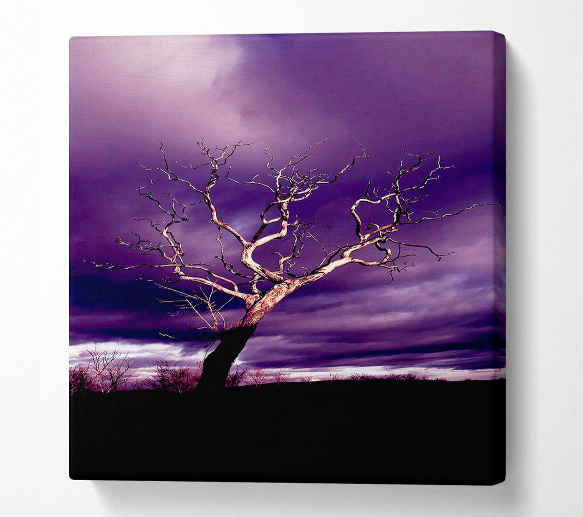 Stunning Purple Night Tree Canvas Wall Art