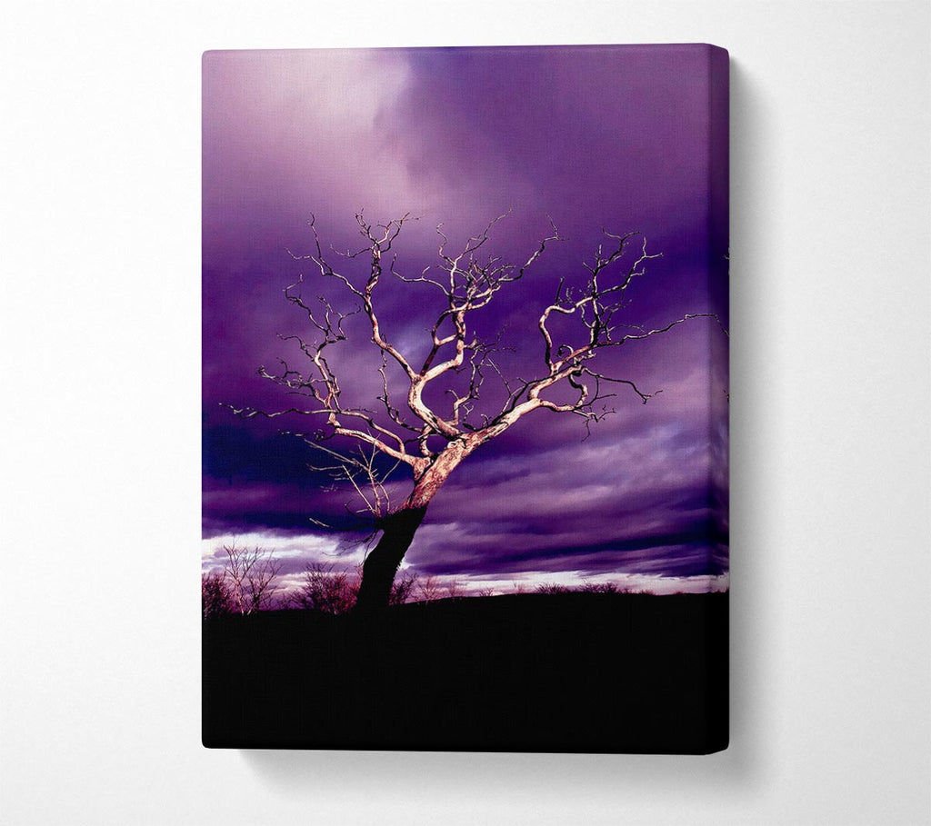 Stunning Purple Night Tree Canvas Wall Art