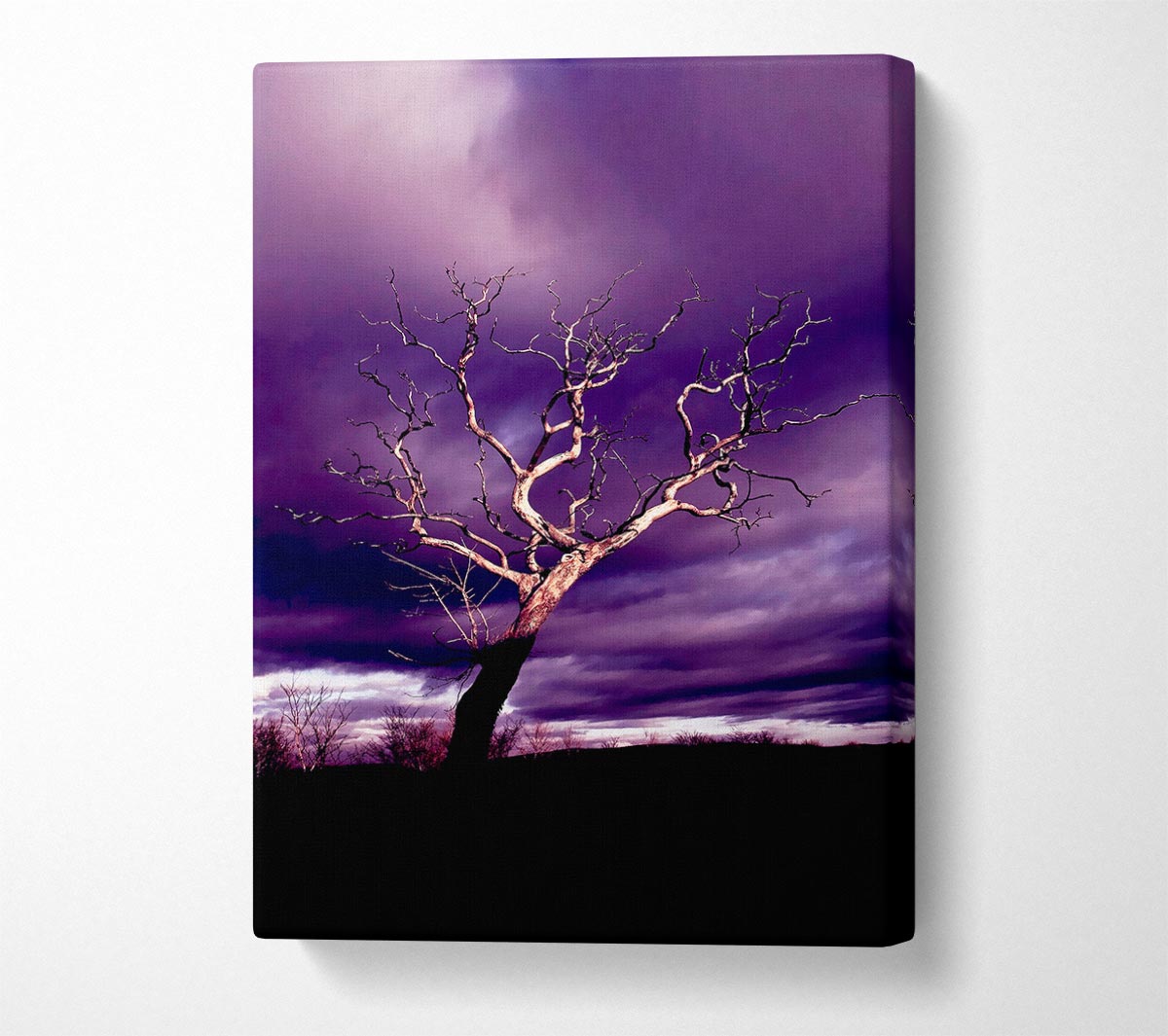 Stunning Purple Night Tree Canvas Wall Art