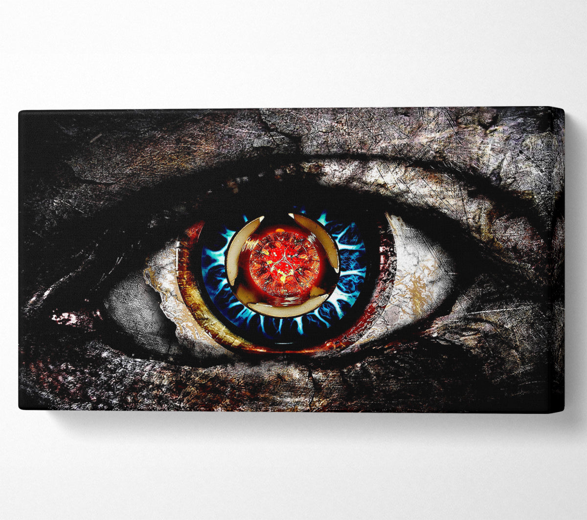 The Eye 2 Canvas Art
