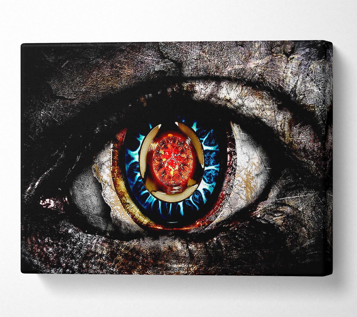 The Eye 2 Canvas Art