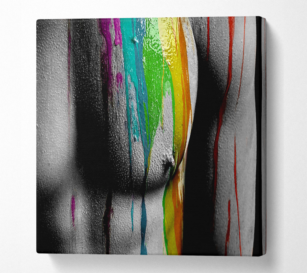 Torso Muscles Canvas Wall Art