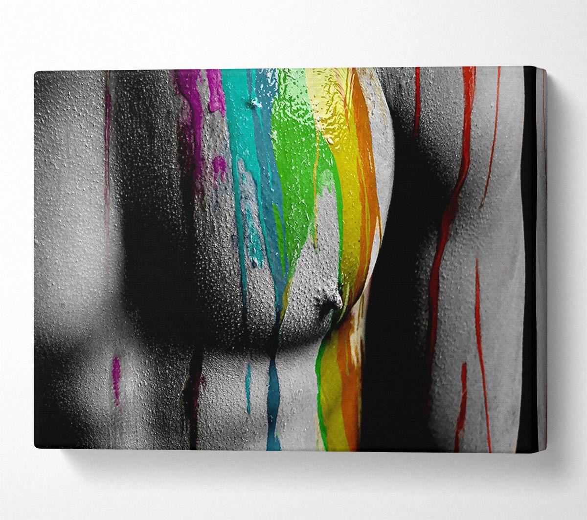 Torso Muscles Canvas Wall Art