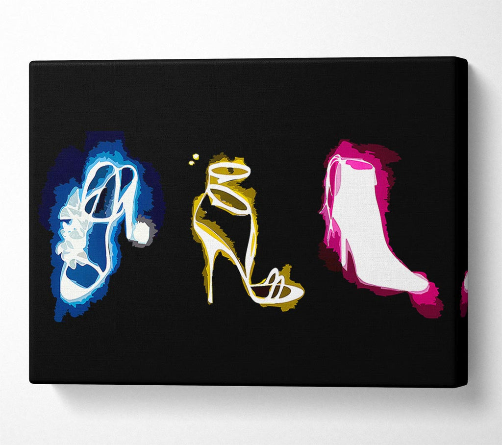 A Womans Love Of Shoes Canvas Print