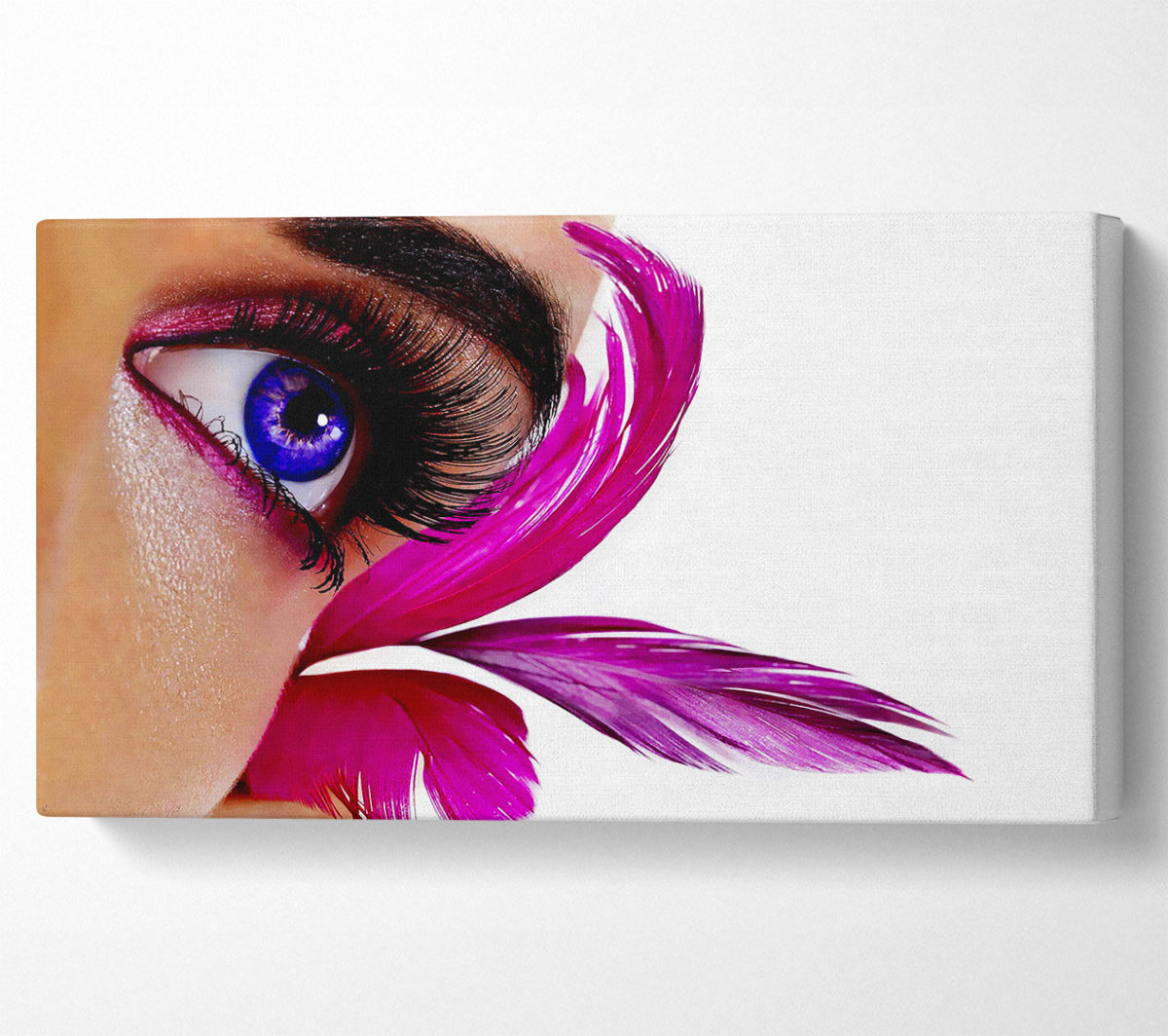 Stunning Pink Feathered Eye Canvas Wall Art