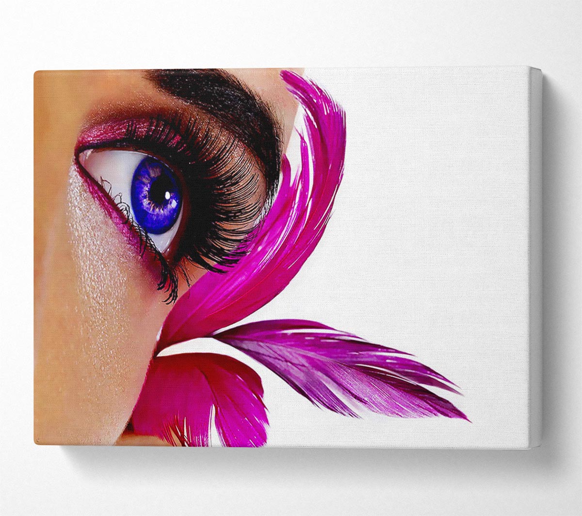 Stunning Pink Feathered Eye Canvas Wall Art