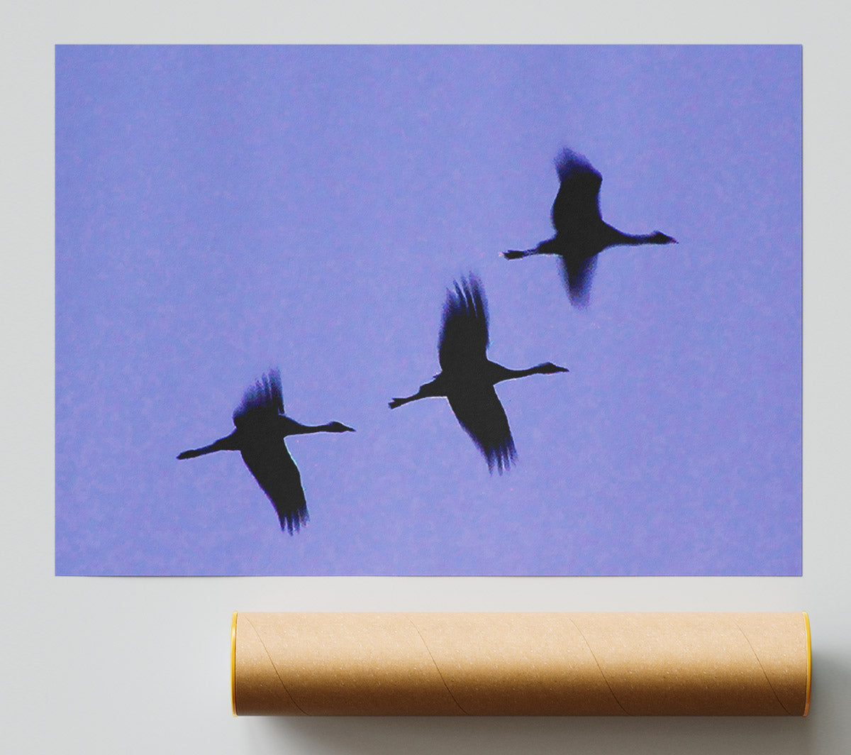 Geese Trio In Flight Purple Giclee Print
