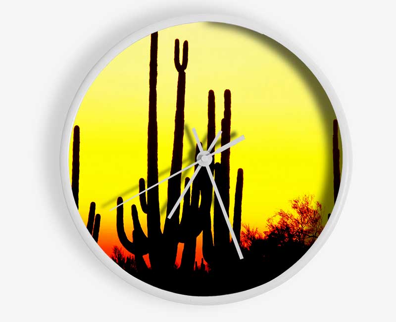 Desert Cactus Sunrise
