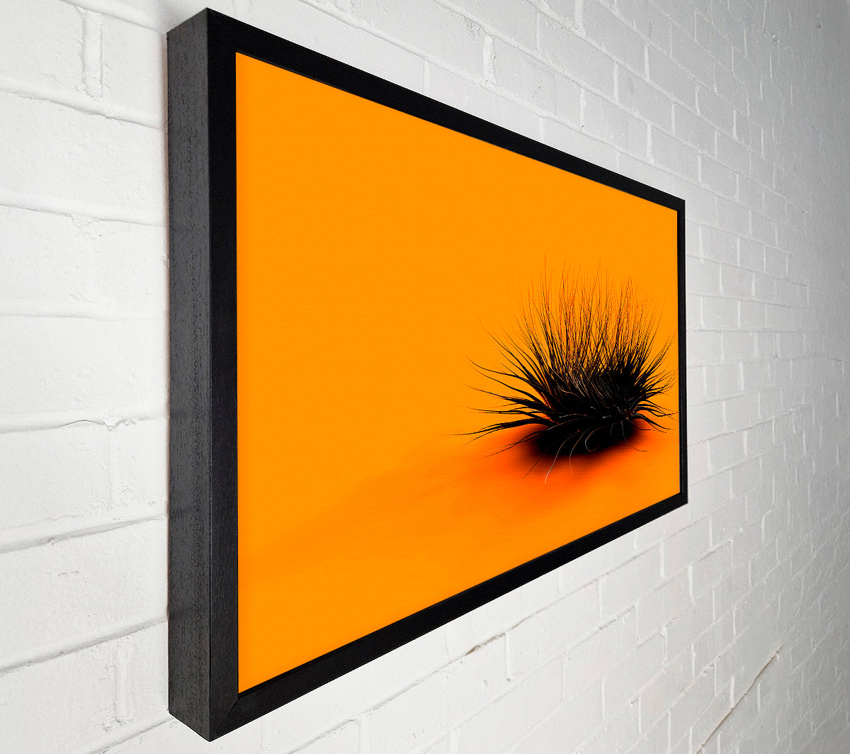 The Orange Thing Canvas Wall Art