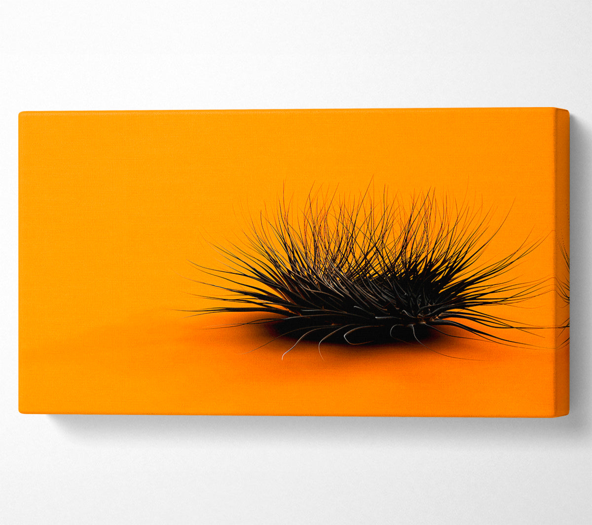 The Orange Thing Canvas Wall Art