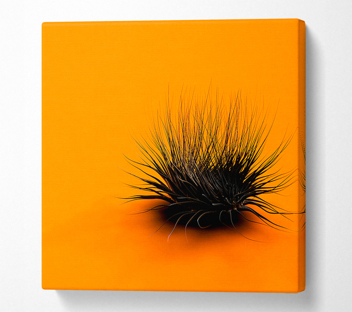 The Orange Thing Canvas Wall Art