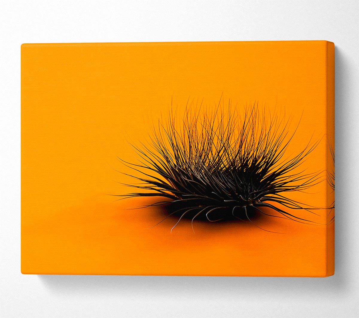The Orange Thing Canvas Wall Art
