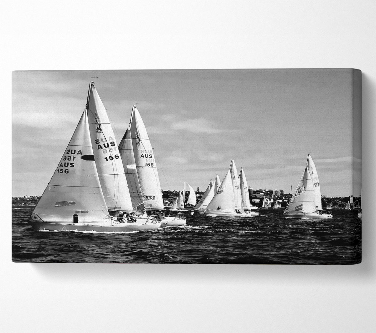 Sailboat Dream B n W Canvas Wall Art