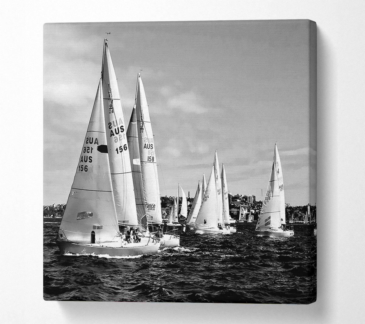 Sailboat Dream B n W Canvas Wall Art