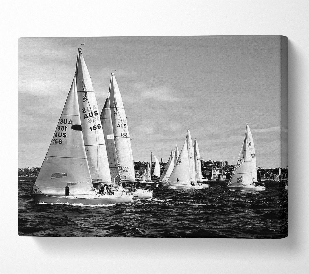 Sailboat Dream B n W Canvas Wall Art