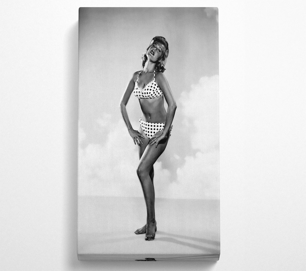 Sandra Dee Canvas Wall Art