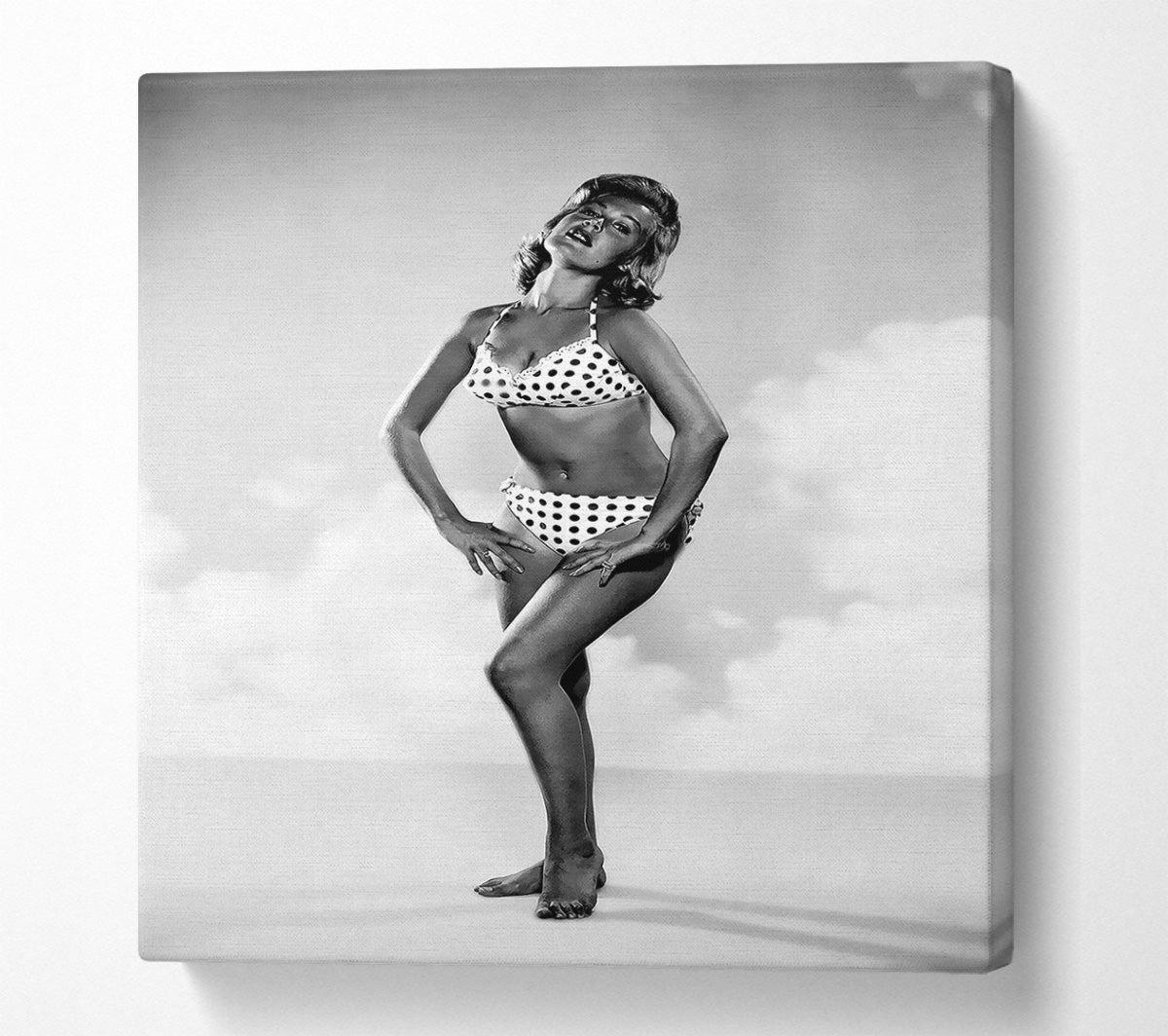Sandra Dee Canvas Wall Art