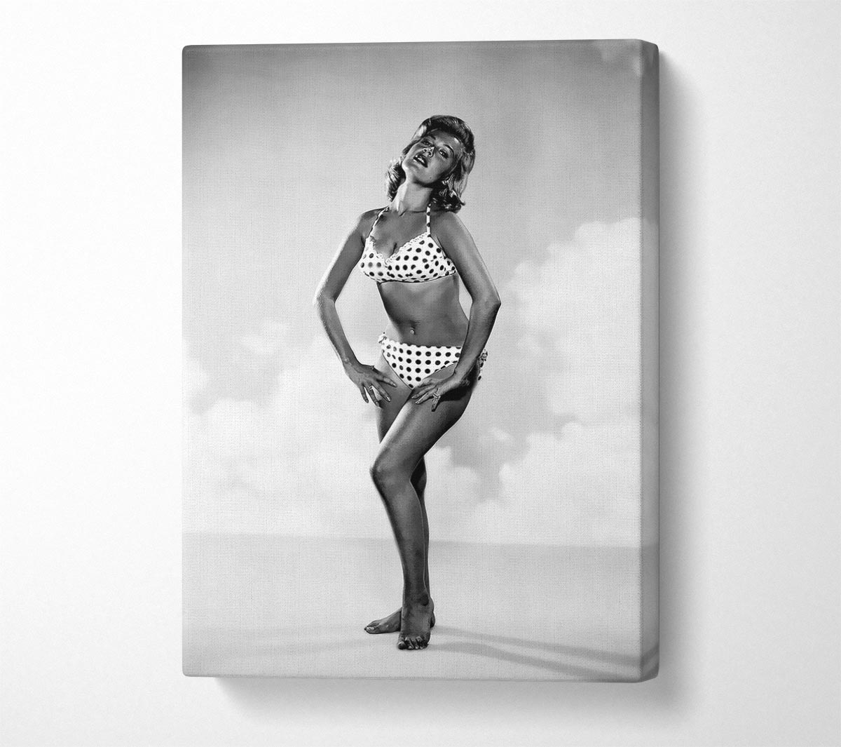 Sandra Dee Canvas Wall Art
