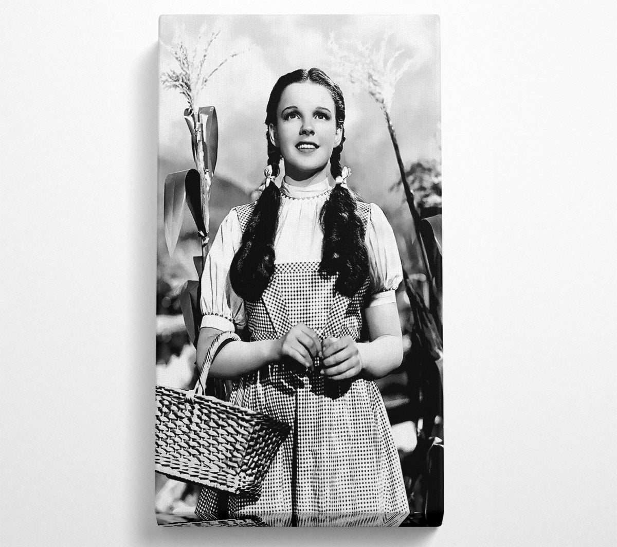 Wizard Of Oz Dorothy Canvas Wall Art