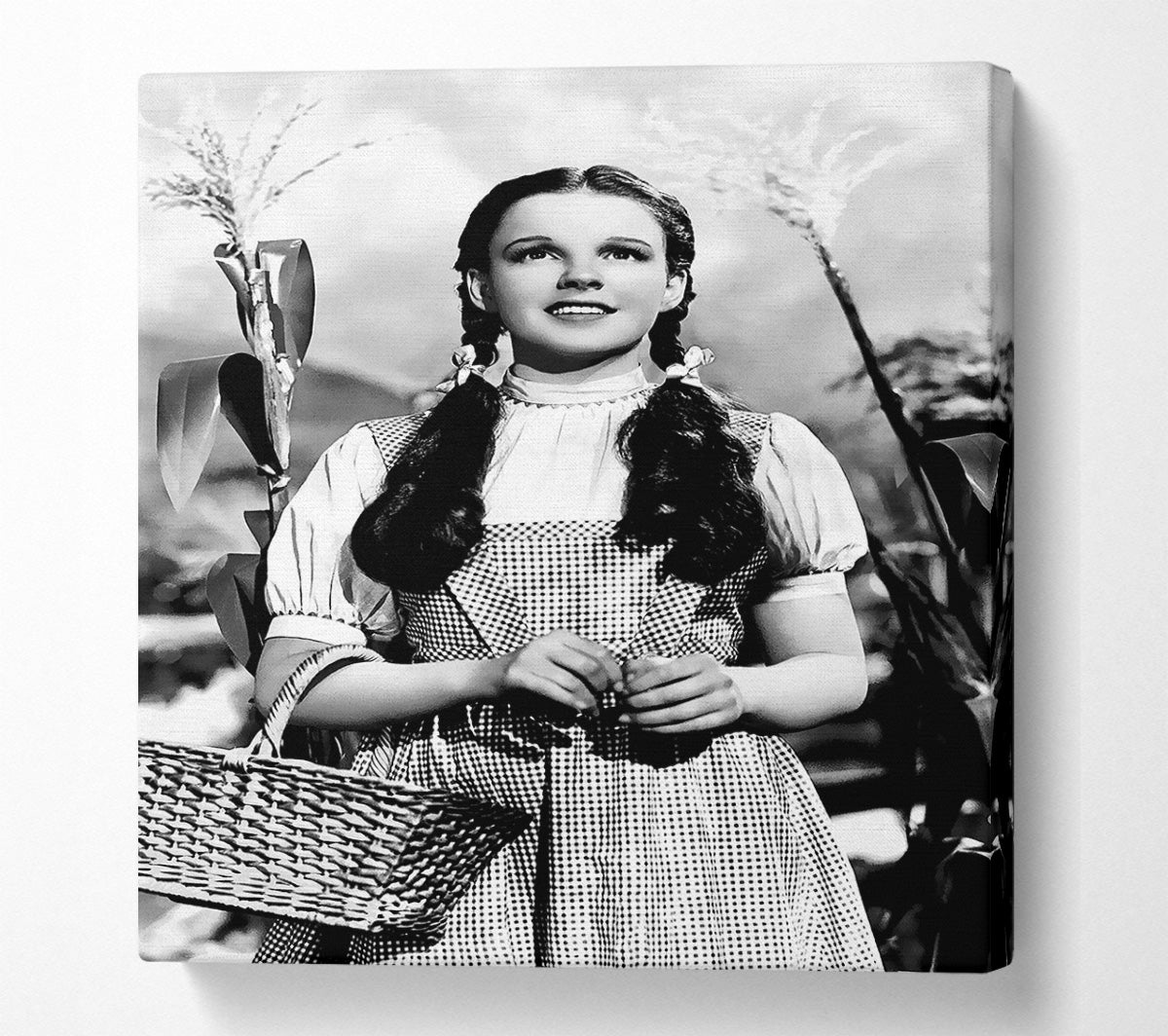 Wizard Of Oz Dorothy Canvas Wall Art