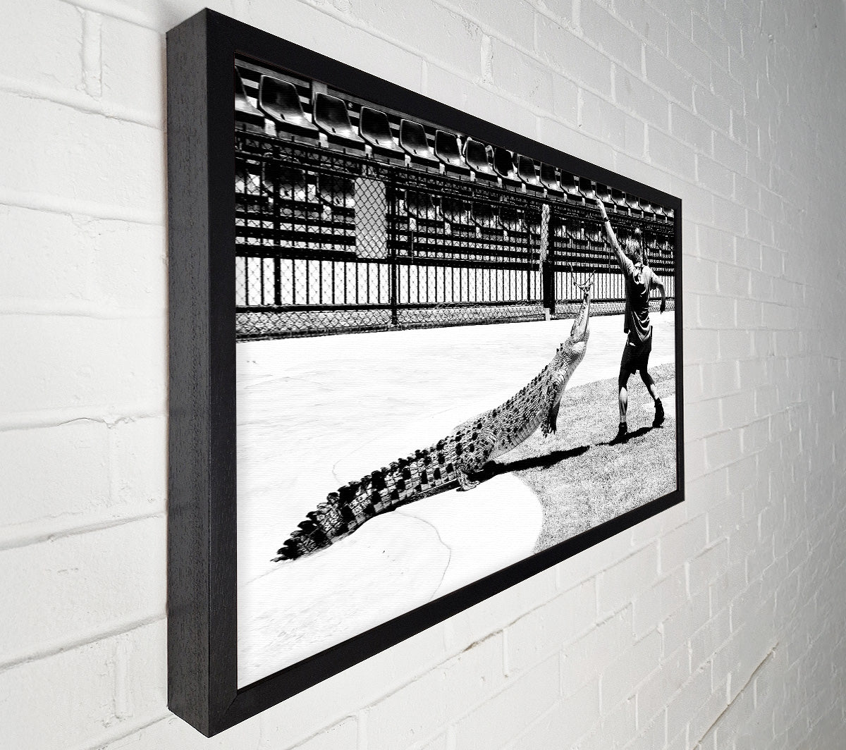 Steve Irwin Crocodile Hunter Canvas Wall Art