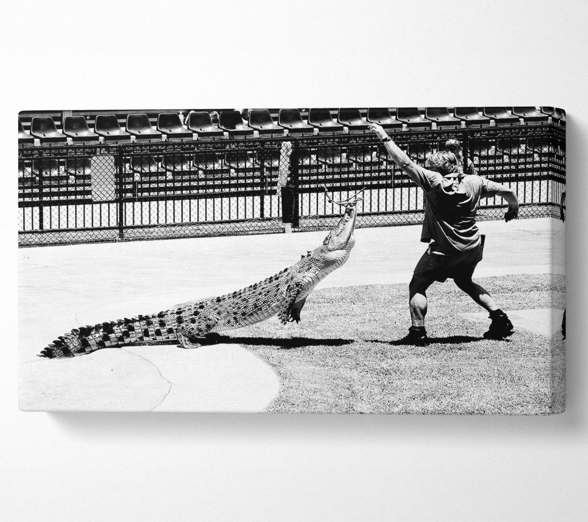 Steve Irwin Crocodile Hunter Canvas Wall Art