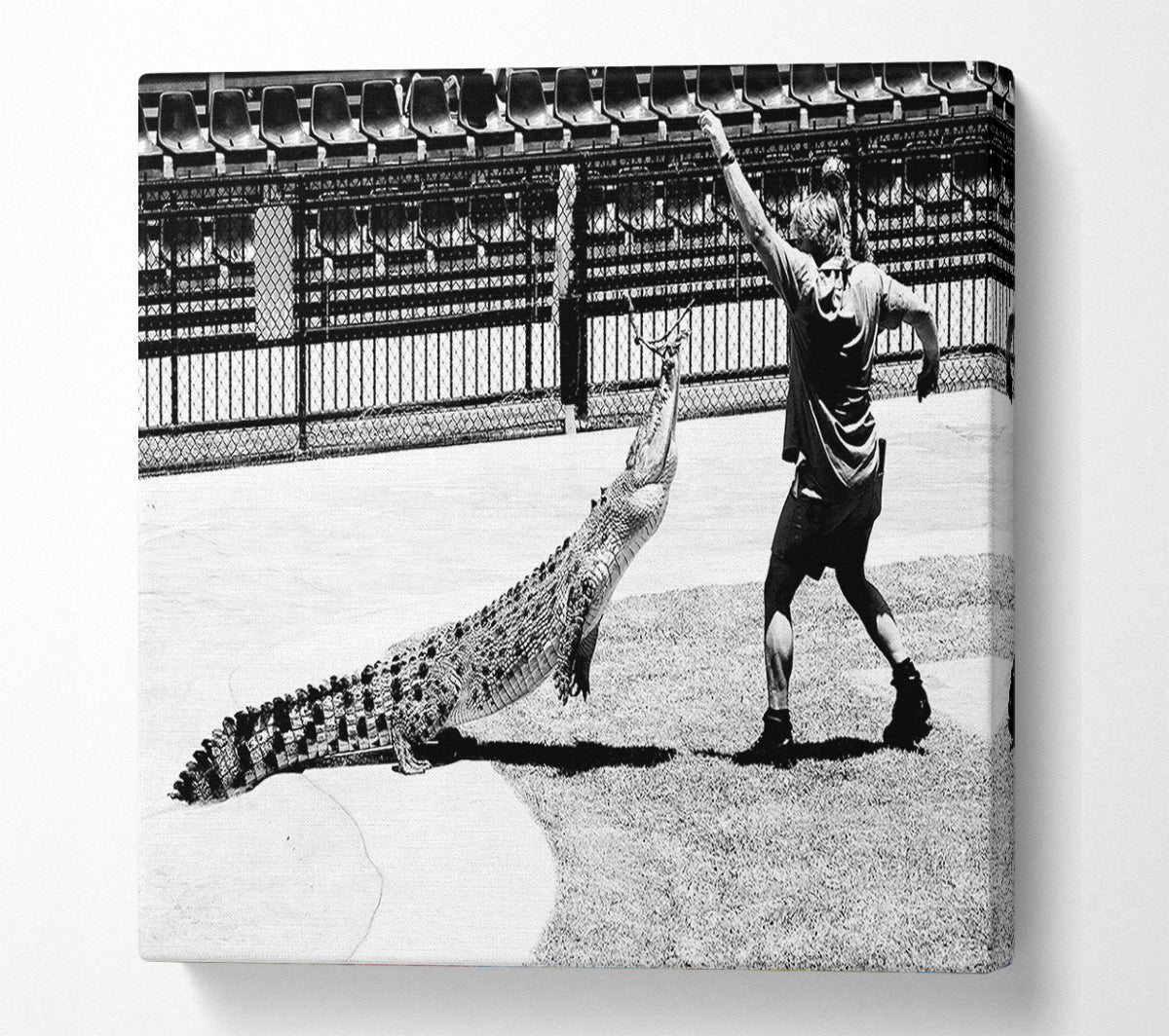 Steve Irwin Crocodile Hunter Canvas Wall Art