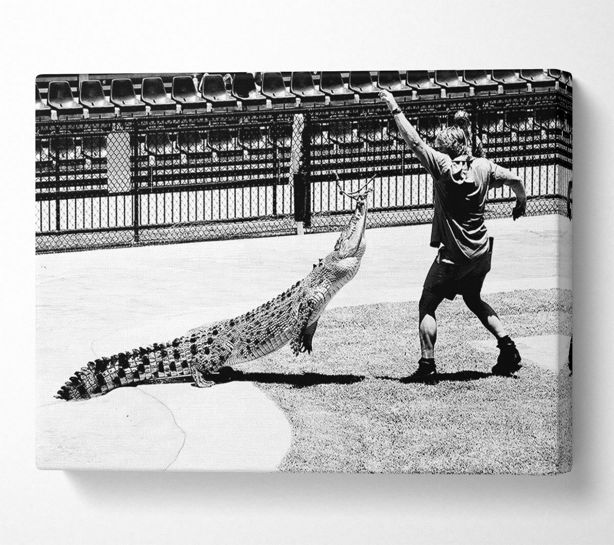 Steve Irwin Crocodile Hunter Canvas Wall Art