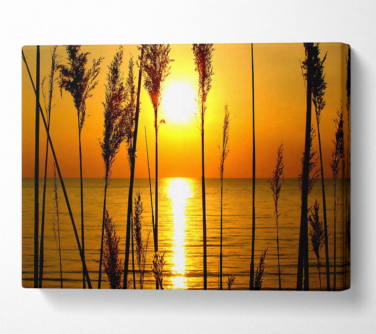 A Perfect Sunset Canvas Wall Art