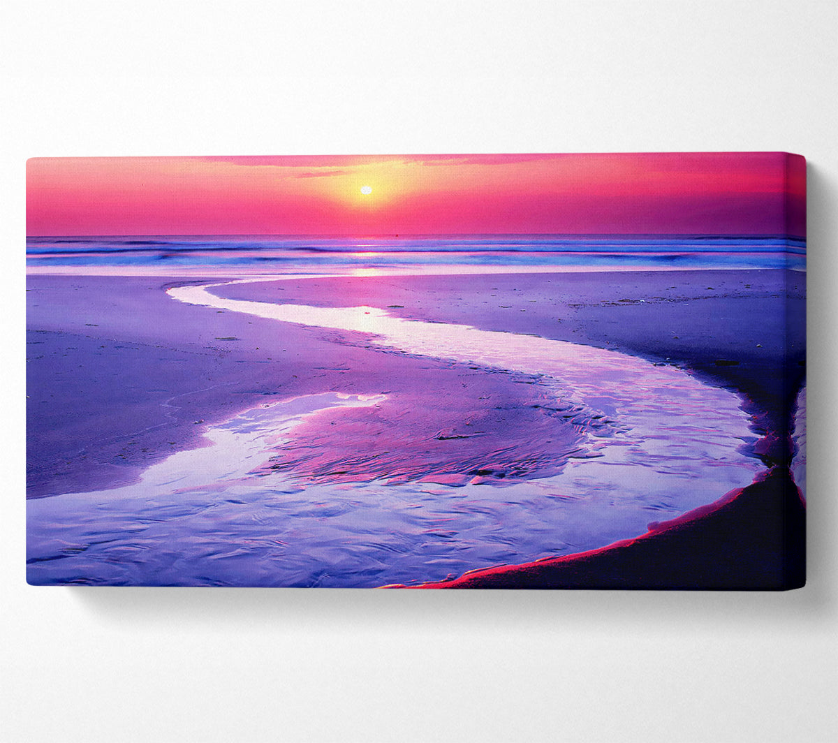 Shoreline Path Canvas Wall Art