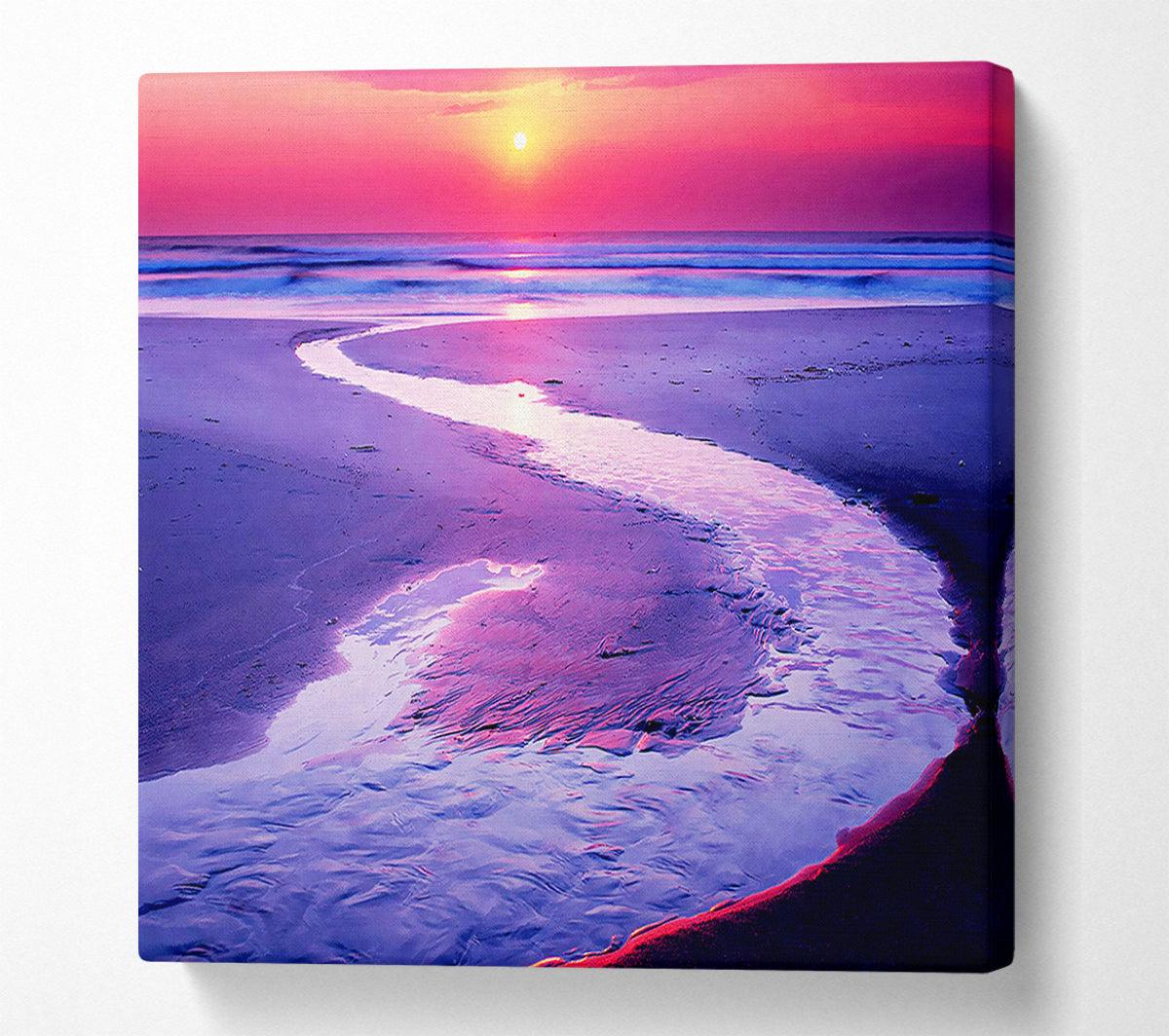 Shoreline Path Canvas Wall Art