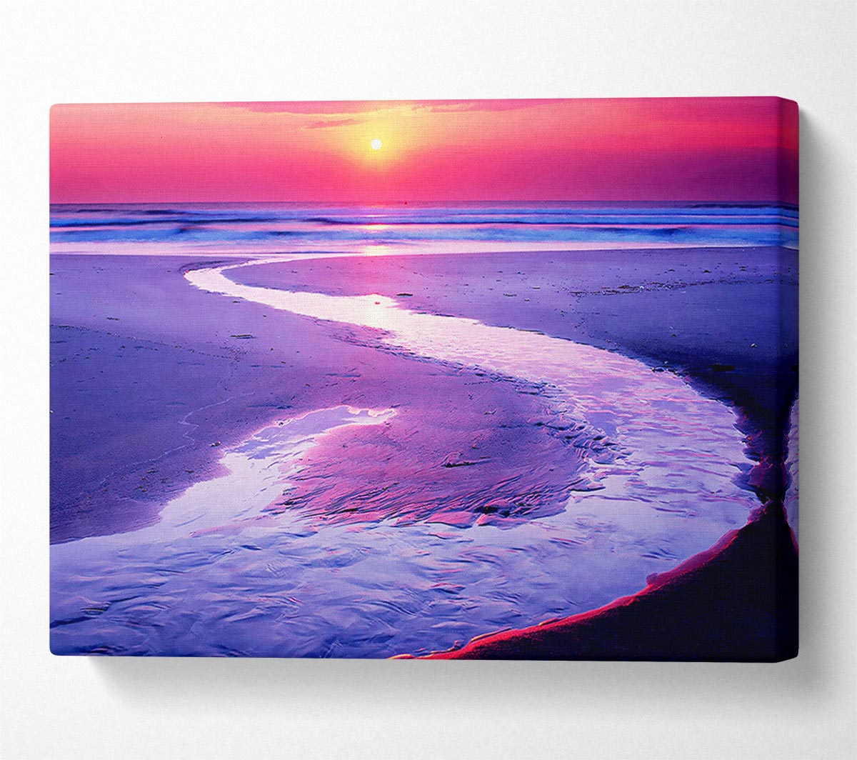 Shoreline Path Canvas Wall Art