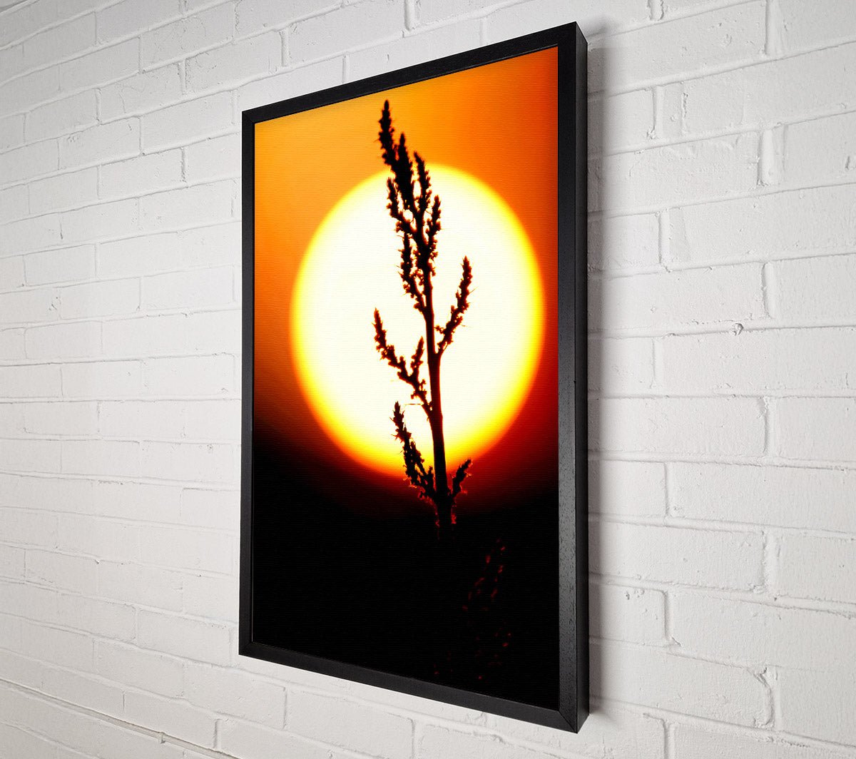 Stunning Sun Glow Orange Canvas Wall Art