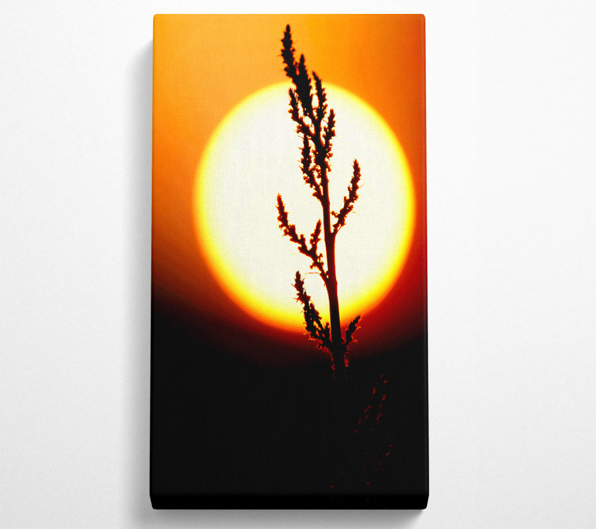 Stunning Sun Glow Orange Canvas Wall Art