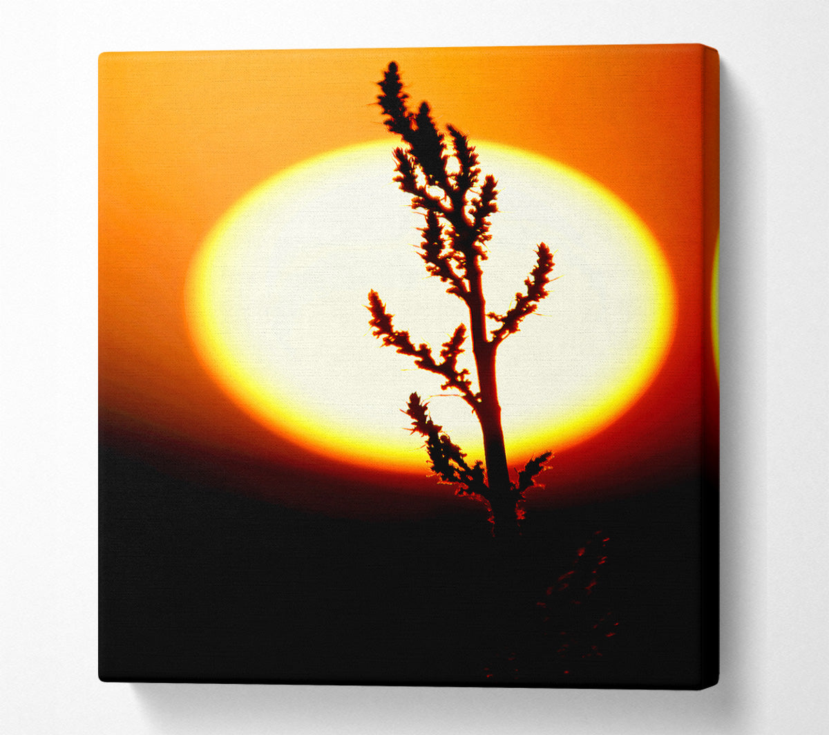 Stunning Sun Glow Orange Canvas Wall Art