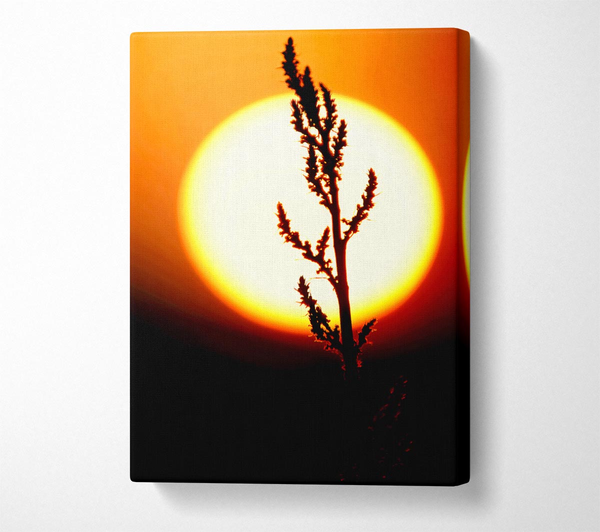 Stunning Sun Glow Orange Canvas Wall Art