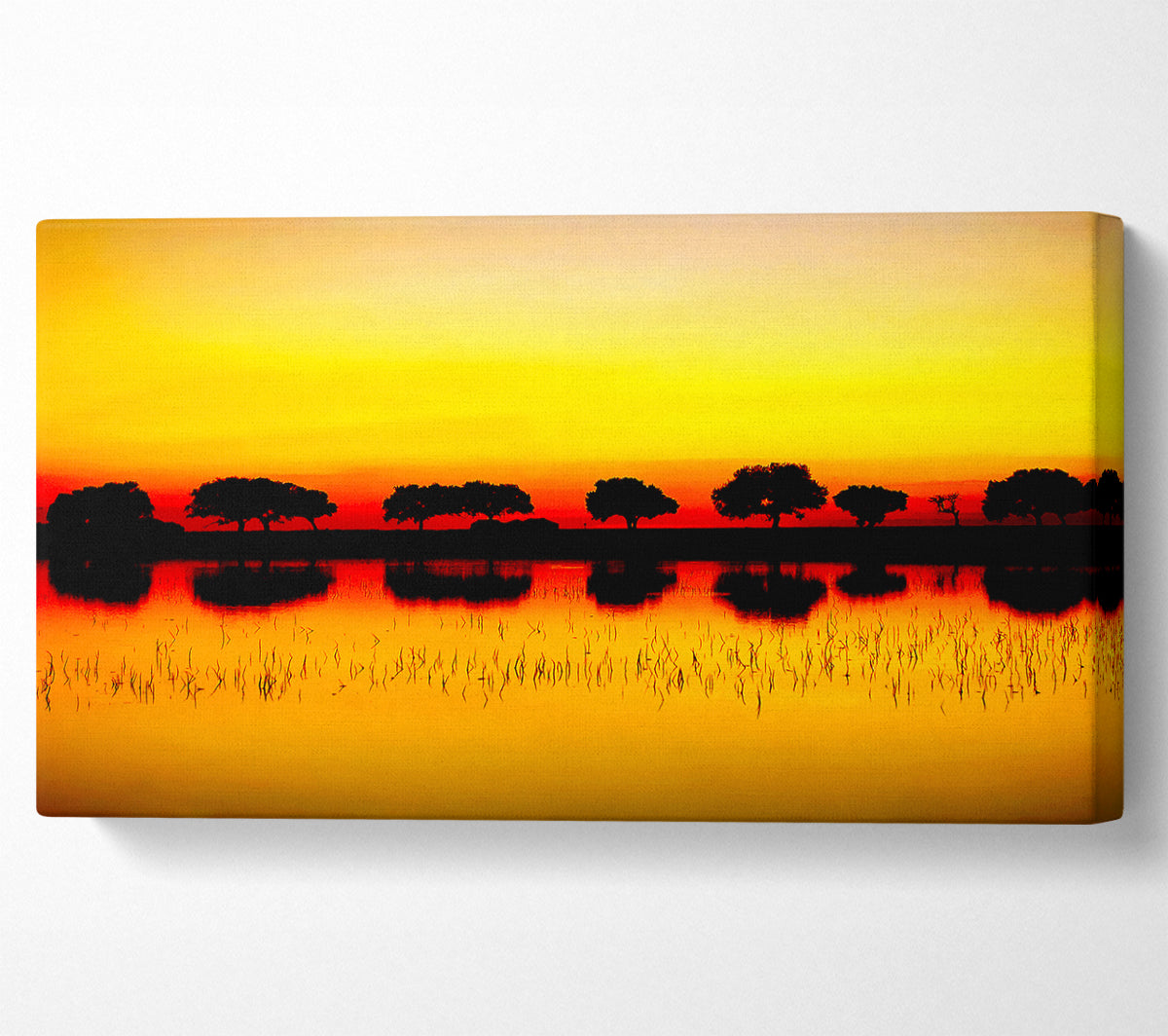 Reflections Of The Sunset Trees Golden Canvas Wall Art