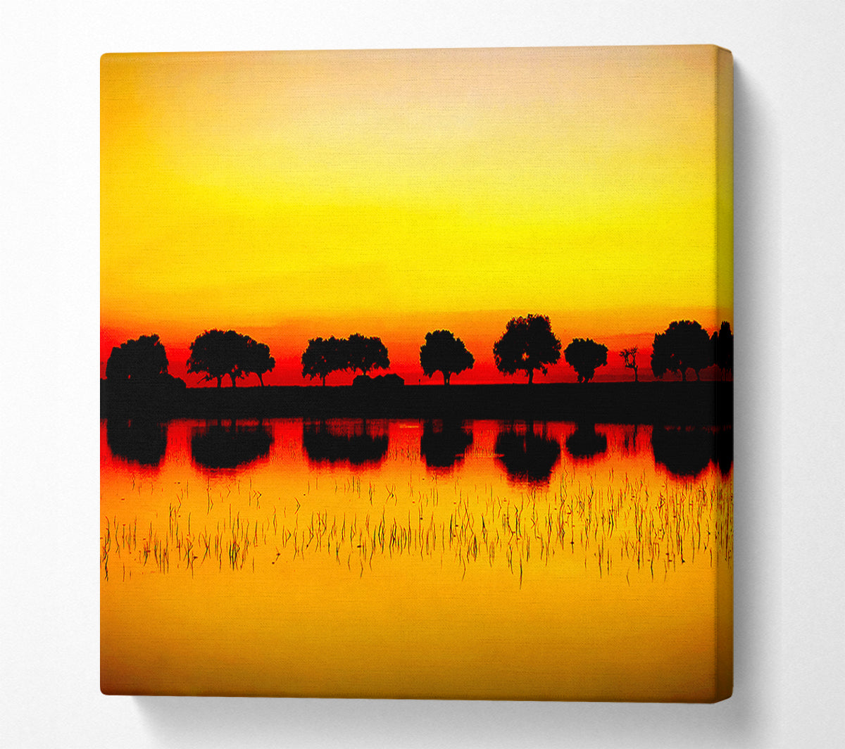 Reflections Of The Sunset Trees Golden Canvas Wall Art