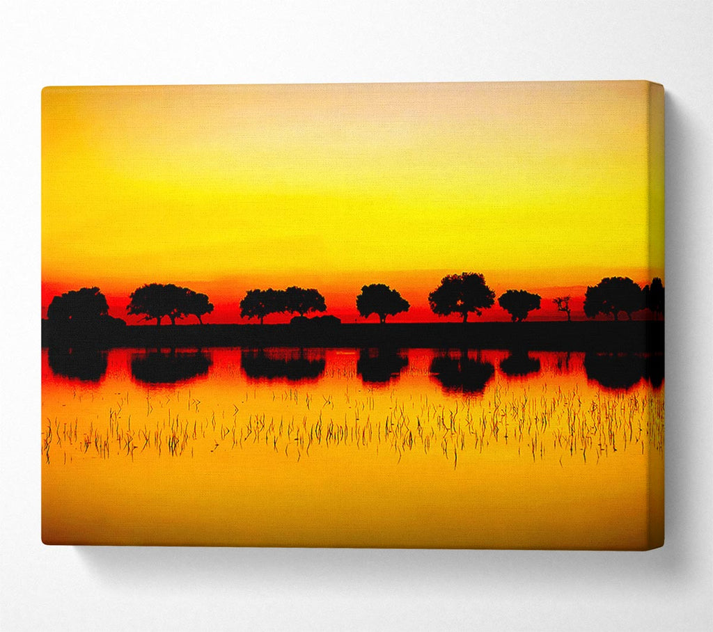 Reflections Of The Sunset Trees Golden Canvas Wall Art