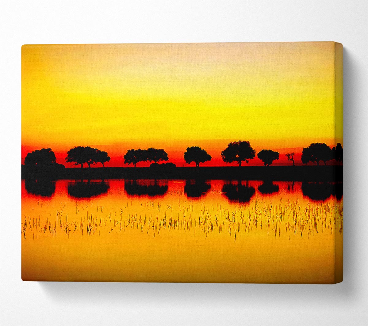 Reflections Of The Sunset Trees Golden Canvas Wall Art